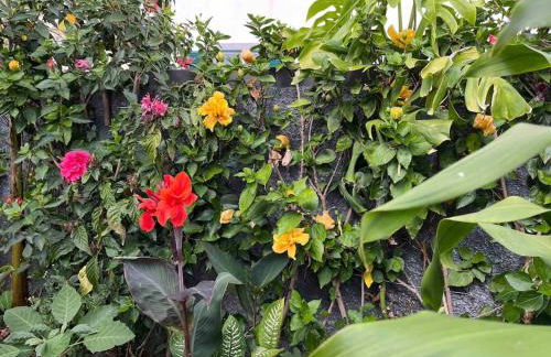 Moradia com piscina no Caniço - Foto 8