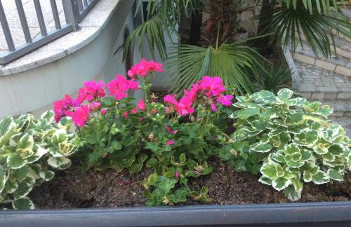 Apartment Sanja - Foto 2