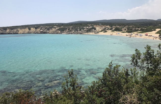 Concept Studios in Caesar Resort Cyprus - Photo 23