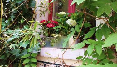 Le nichoir aux oiseaux - Foto 5