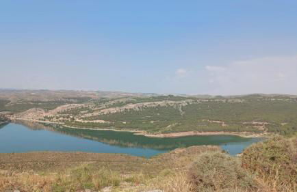 CASA RURAL CASCO ANTIGUO - Photo 56