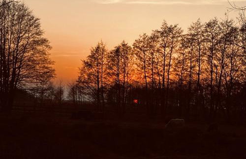 Widać Wydmy - Foto 74