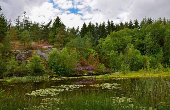 Seaside Idyll in Svaneke - By Traum Ferienwohnungen - Foto 5