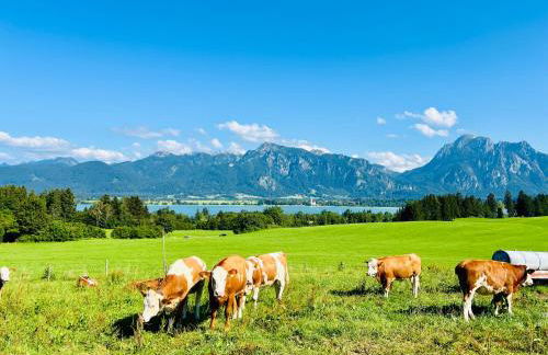 Bio-Ferienhof Köpf - Foto 20