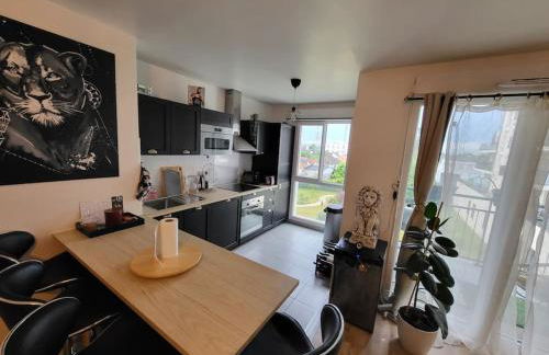 Cosy carré Haussmann, stade de franc, C D G, Paris - Foto 6