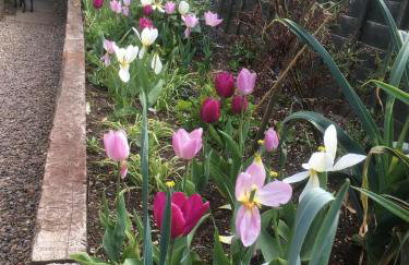 Rose Cottage - Foto 19