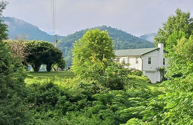 Peace of Paradise - Photo 41