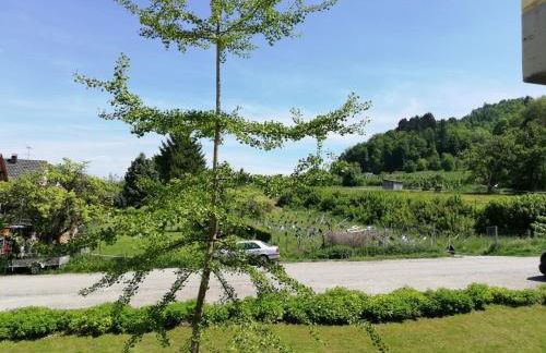 FeWo Segelwind - Foto 23