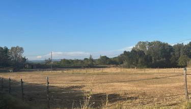 Charmant Cabanon Provençale à Montfort-sur-Argens - Foto 4