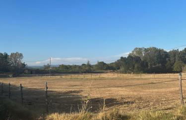 Charmant Cabanon Provençale à Montfort-sur-Argens - Foto 4