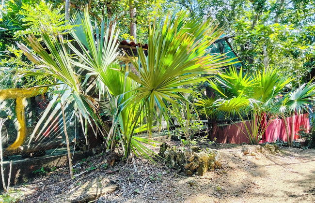 Hotel y Temazcal en Solferino - Foto 79