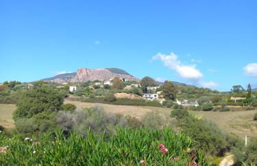 afa butrone sarrola - Foto 2