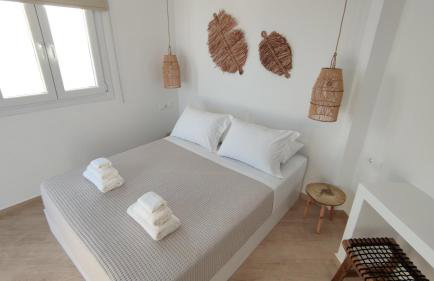 Eolia luxury houses Andros - Foto 15