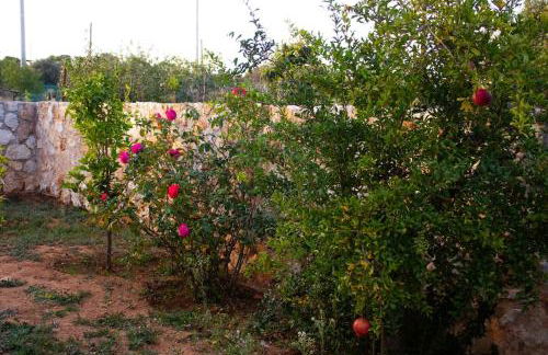 Ariadnis Spacious 3Bd home, 10 mins to Airport, Port, Beach - Foto 47