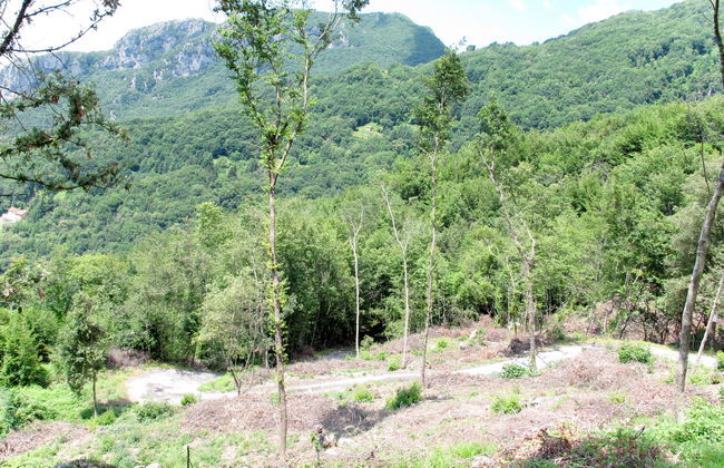 La Quercia - Foto 39