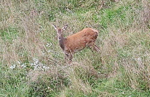 La Casina del Salice - Foto 30