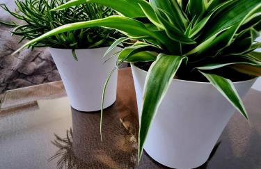 Apartament Jelonek w Karkonoszach - Foto 38