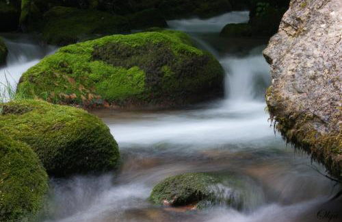Apartamentos Rurales Casa Marcelo II - Foto 51