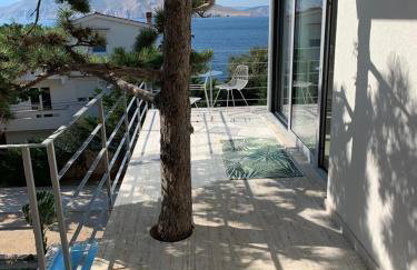 Shimmer & Shine - Foto 12