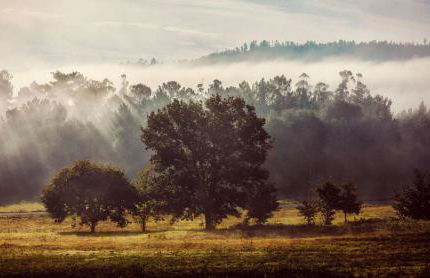 MU_MORADAS NO ULLA - Foto 30