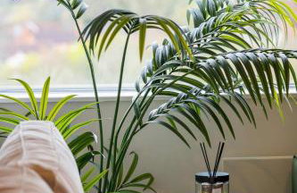 Station House Elan - Photo 8