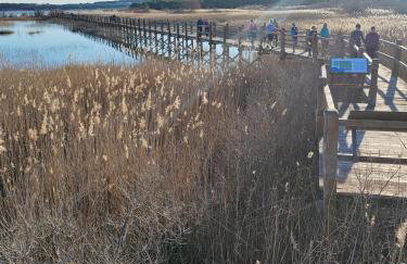 Holiday home A&M - Foto 36