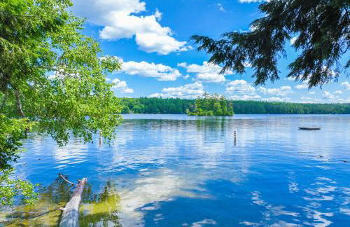 Falling Pines - Foto 3