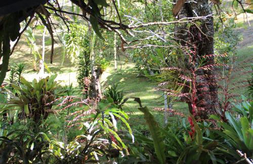 Solar Mirandela - Foto 37