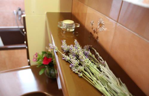 Schöne Ferienwohnung mit Terrasse, Roses - Photo 23