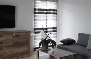 Hochsalerblick - Foto 6