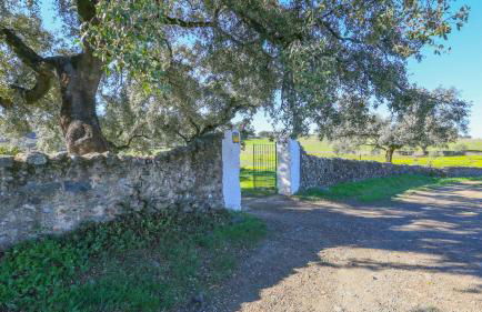 Casa rural el Tejar Higuera de la Sierra by Ruralidays - Foto 29