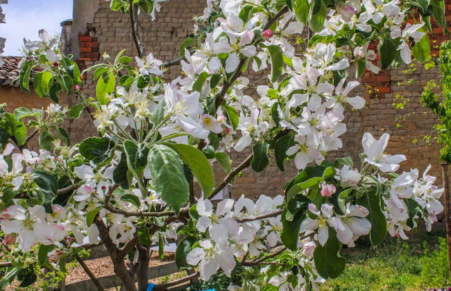 Posada Real del Buen Camino - Foto 46