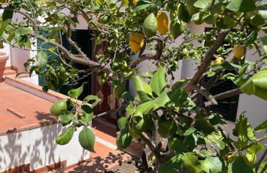 Casa Dorotea - Foto 15