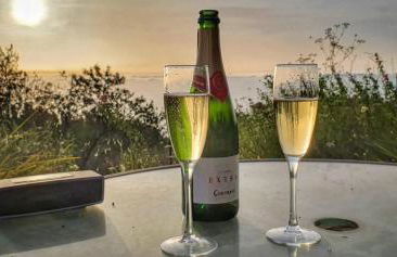 Casa Palmera - Photo 43