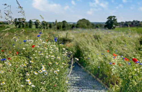 1 Bed in Abberley 89032 - Photo 20