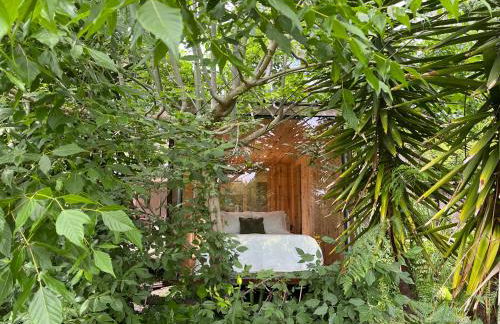 Springfield Lodge - Foto 3