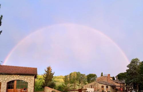 LA COLLINA DEI SAPORI Montepulciano - Photo 10