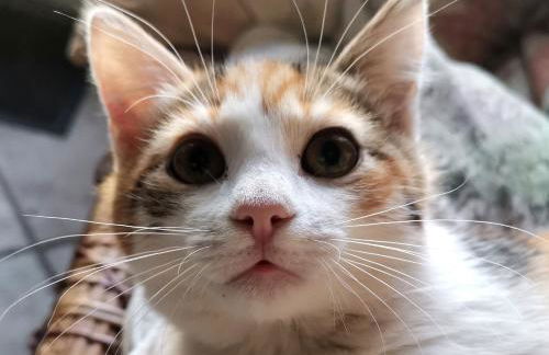 La Traversina - Agriturismo di Charme - Foto 13