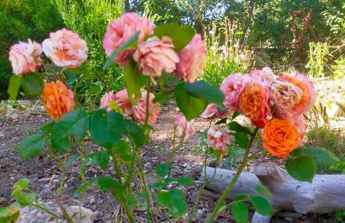 Casa Marina Lu Tuvaraggiu Casa vacanze - Photo 32