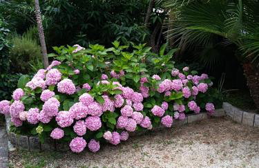 Apartman Mladenka - Foto 26