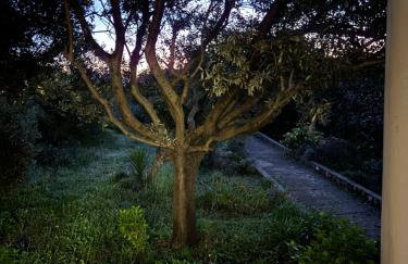 Do 8 osoba 3 sobe 2 terase - Foto 50