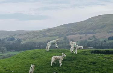 Station Cottage Hawes - Foto 33