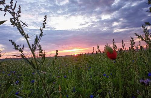 GRETA Nowoczesny domek modułowy nad stawem - Foto 24