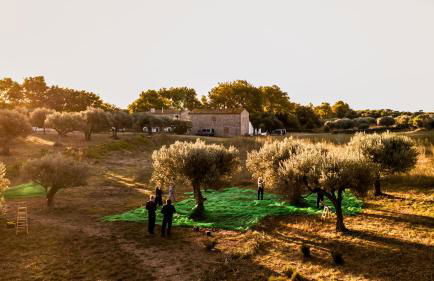 Casa de diseño con gran terraza - Foto 42