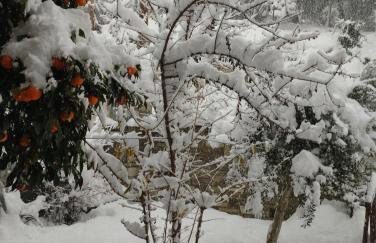 Mountain Breeze Sanctuary - Foto 6