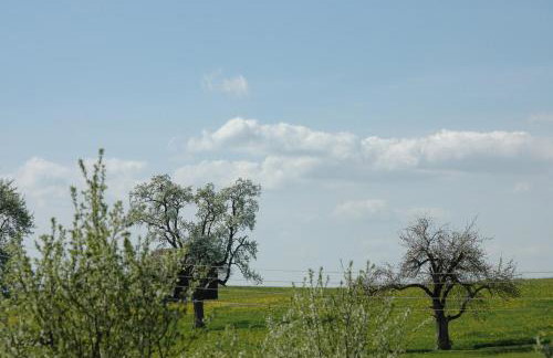 Altes Schulhaus - Foto 28