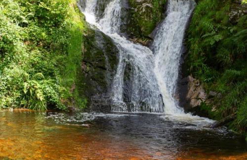 Kappler Nest - Foto 12