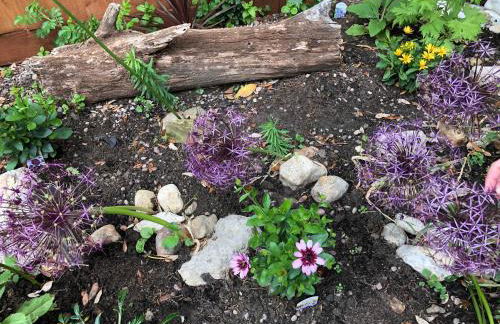 Gwydyr House - Photo 58