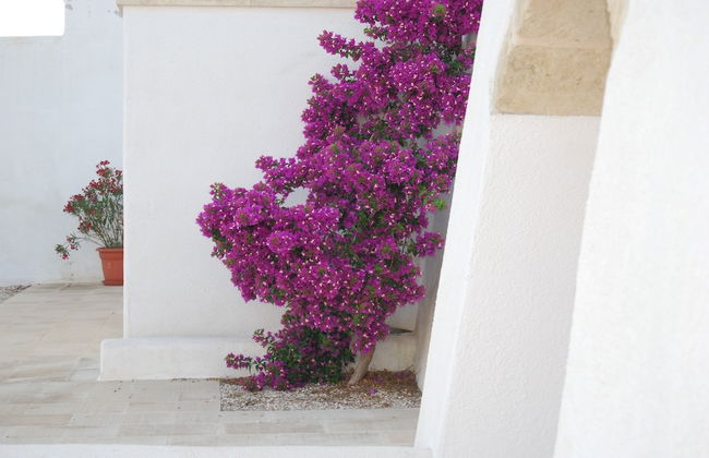 Terra di Leuca - Foto 31