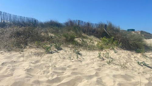 Vue sur dunes ! - Foto 4